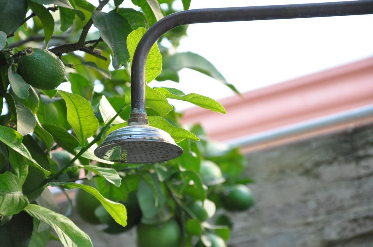 Auberge de jeunesse Lemon Garden Séville