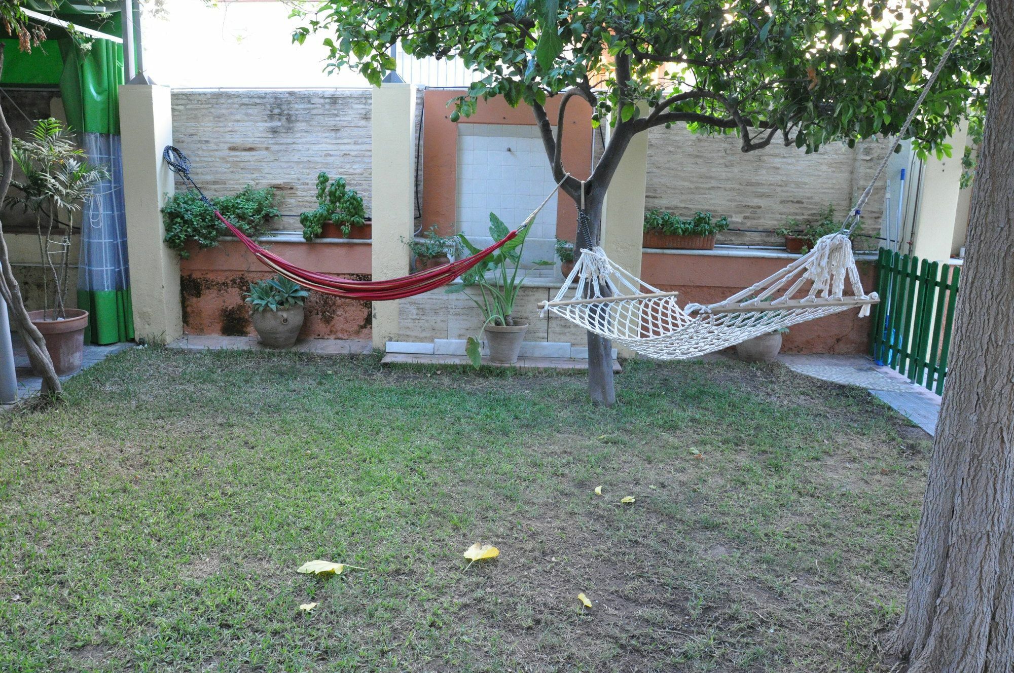 Auberge de jeunesse Lemon Garden Séville